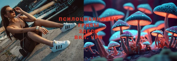 соль курить ск Аркадак