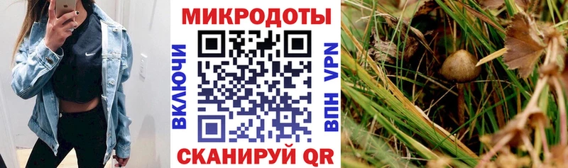 Псилоцибиновые грибы GOLDEN TEACHER  купить  сайты  Полесск 